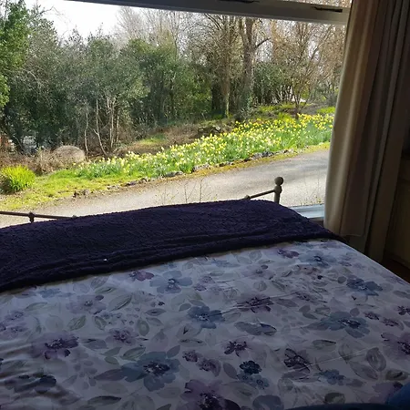 Hollybanks * Moycullen