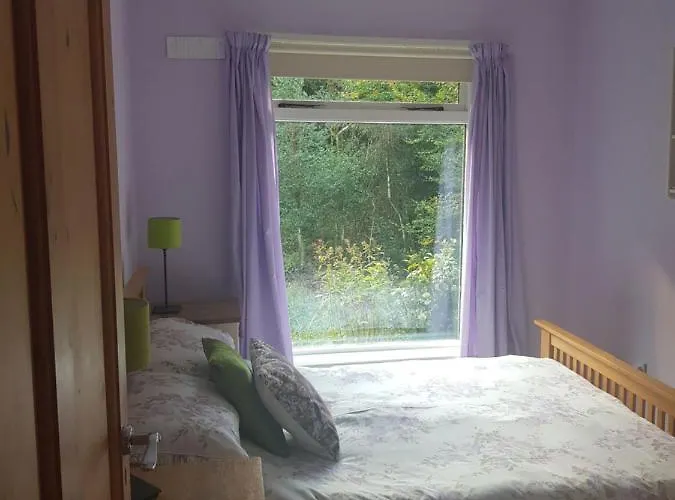 Hollybanks Ubytování v soukromí Moycullen